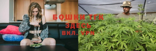 гашик Заволжье
