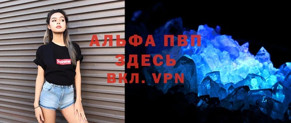 гашик Заволжье
