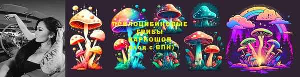 прущие грибы Инта