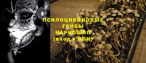 гашик Заволжье