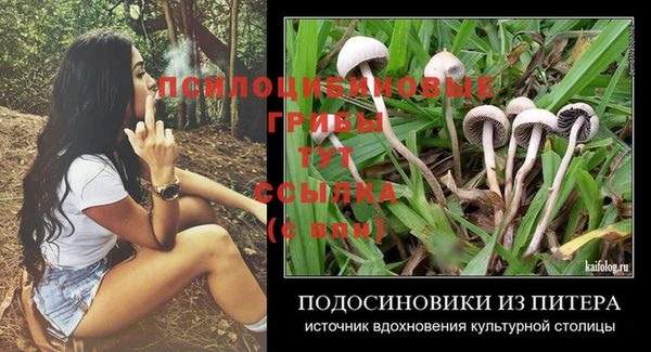 кристаллы Заводоуковск