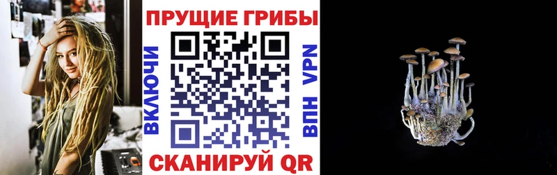Галлюциногенные грибы MAGIC MUSHROOMS Реж