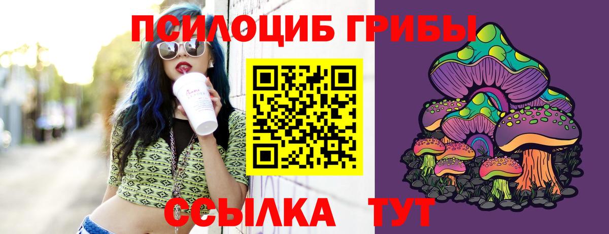 Галлюциногенные грибы прущие грибы  Псилоцибиновые грибы Cubensis  Вход с VPN  Реж 
